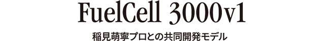FuelCell 300v1 GJvƂ̋Jf