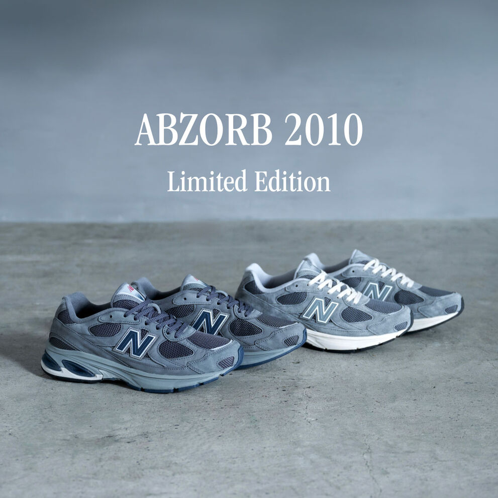 ABZORB 2010