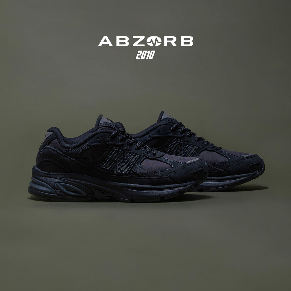 ABZORB 2010