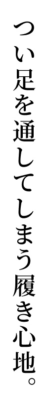 つい足を通してしまう履き心地。