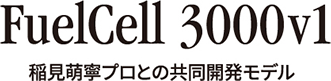 FuelCell 300v1 이나미 모닝 프로와의 공동 개발 모델
